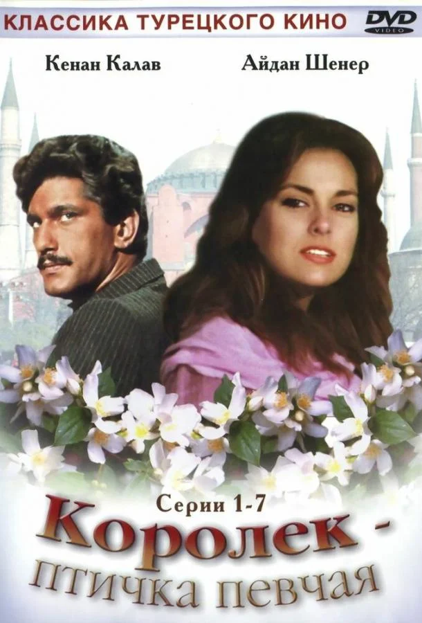 Королёк — птичка певчая (1986) турецкий сериал